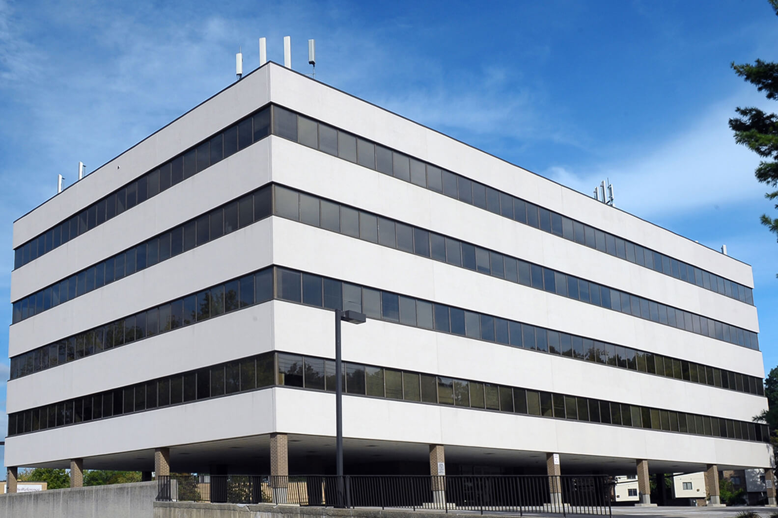 peck brothers joins elmwood park plaza tenant roster alfred elmwood park nj newspaper